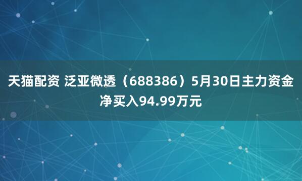 天猫配资 泛亚微透（688386）5月30日主力资金净买入94.99万元