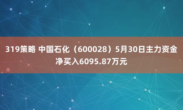 319策略 中国石化（600028）5月30日主力资金净买入6095.87万元