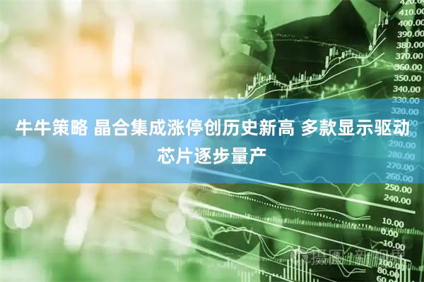 牛牛策略 晶合集成涨停创历史新高 多款显示驱动芯片逐步量产