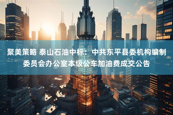 聚美策略 泰山石油中标：中共东平县委机构编制委员会办公室本级公车加油费成交公告