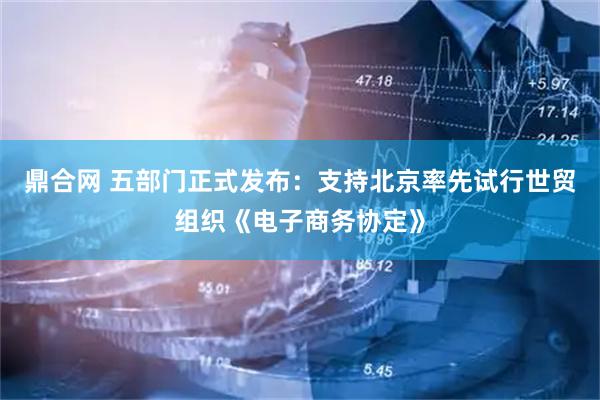 鼎合网 五部门正式发布：支持北京率先试行世贸组织《电子商务协定》