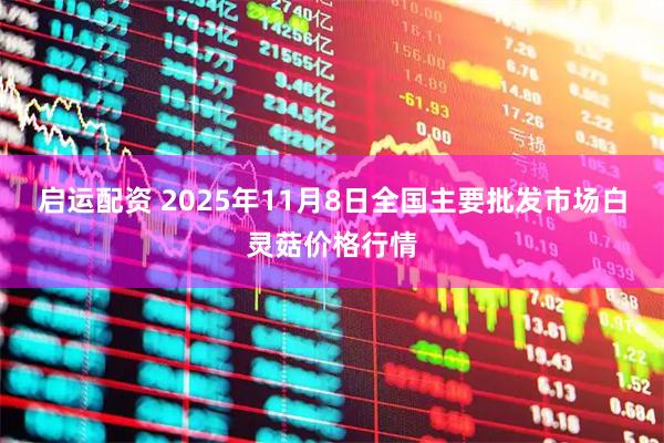 启运配资 2025年11月8日全国主要批发市场白灵菇价格行情