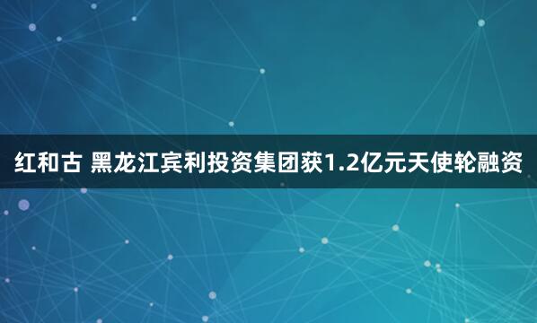 红和古 黑龙江宾利投资集团获1.2亿元天使轮融资
