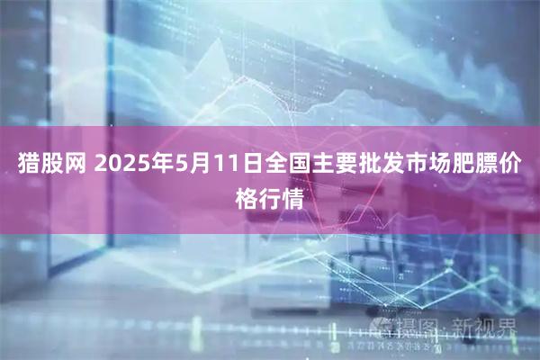 猎股网 2025年5月11日全国主要批发市场肥膘价格行情