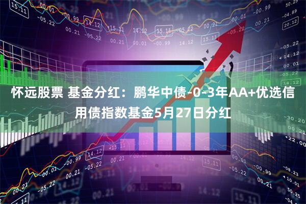 怀远股票 基金分红：鹏华中债-0-3年AA+优选信用债指数基金5月27日分红