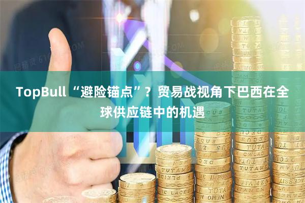 TopBull “避险锚点”?贸易战视角下巴西在全球供应链中的机遇