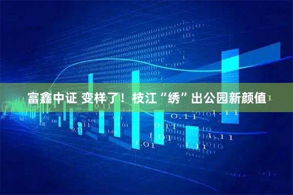 富鑫中证 变样了！枝江“绣”出公园新颜值