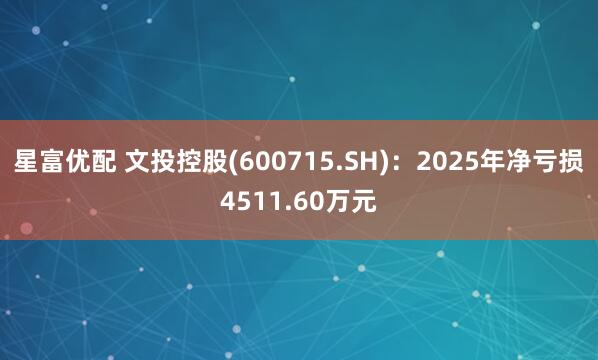 星富优配 文投控股(600715.SH)：2025年净亏损4511.60万元