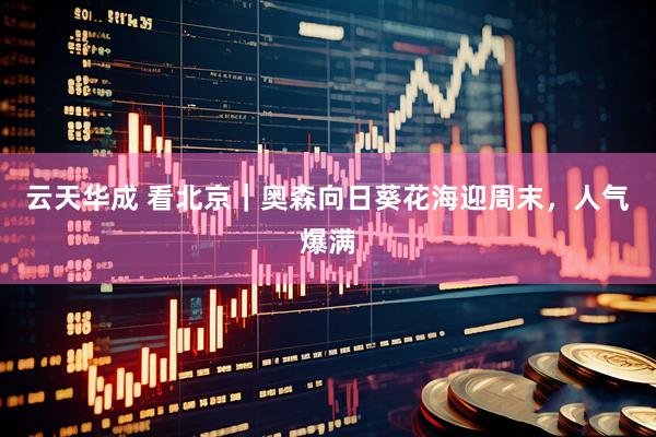 云天华成 看北京|奥森向日葵花海迎周末,人气爆满