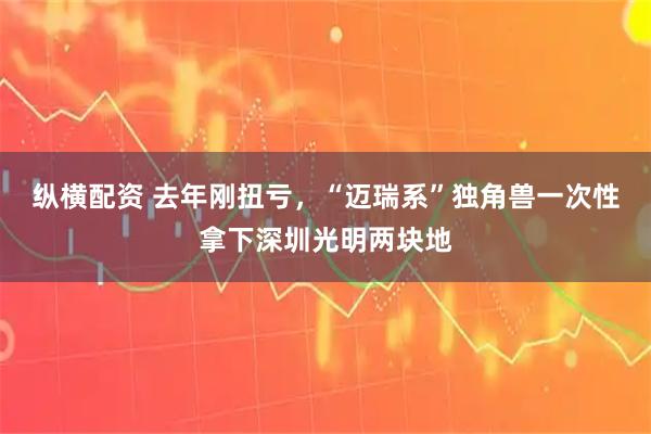 纵横配资 去年刚扭亏，“迈瑞系”独角兽一次性拿下深圳光明两块地